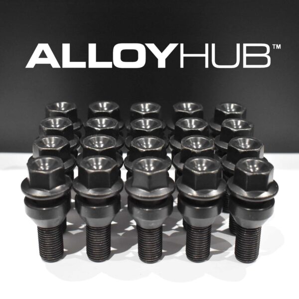 BLK-L461-Bolts