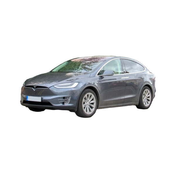 Model X